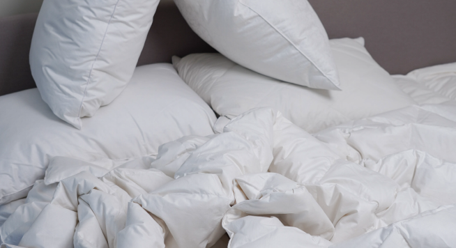 GOOSEDOWN BLOG mladenci 1